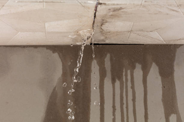Professional Burst Pipe Cleanup technician working in Lakeview, MI